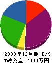 平野水道 貸借対照表 2009年12月期