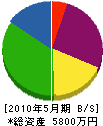 丸田組 貸借対照表 2010年5月期