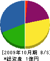 渡辺興業 貸借対照表 2009年10月期