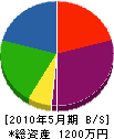松本業務店 貸借対照表 2010年5月期