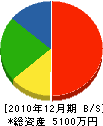 吉川水道設備 貸借対照表 2010年12月期
