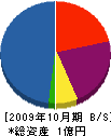 ユーティーエス 貸借対照表 2009年10月期