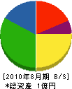 長谷川木材店 貸借対照表 2010年8月期