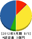 丸電三浦電機 貸借対照表 2012年9月期