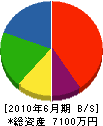 岩崎電機 貸借対照表 2010年6月期