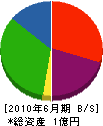 宮井電機商会 貸借対照表 2010年6月期