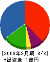 小川産業 貸借対照表 2009年9月期