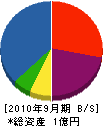 丸一佐々木建設 貸借対照表 2010年9月期