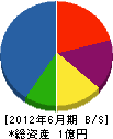 柴清工業 貸借対照表 2012年6月期
