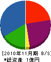 大阪ユニロン 貸借対照表 2010年11月期