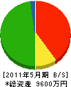 竹渕 貸借対照表 2011年5月期