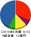 八木沢興業 貸借対照表 2010年6月期