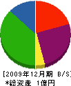 鹿児島推進開発 貸借対照表 2009年12月期