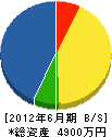 長谷川工務店 貸借対照表 2012年6月期