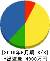 岡村電話 貸借対照表 2010年6月期