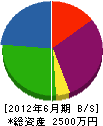 岡田建設資材 貸借対照表 2012年6月期