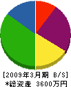明成総合 貸借対照表 2009年3月期