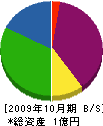 佐野総建 貸借対照表 2009年10月期