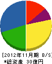 日本電算設備 貸借対照表 2012年11月期