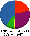 昭和電子工業 貸借対照表 2010年9月期