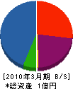 翔和総業 貸借対照表 2010年3月期