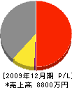 神道建設 損益計算書 2009年12月期