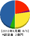 原川商店 貸借対照表 2012年6月期