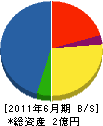 原川商店 貸借対照表 2011年6月期