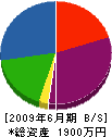 ウチハシ建設 貸借対照表 2009年6月期