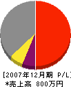 丸橋工業 損益計算書 2007年12月期