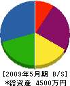 江嶋建設 貸借対照表 2009年5月期