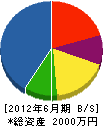 天龍建設 貸借対照表 2012年6月期