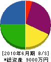 タケダ電業 貸借対照表 2010年6月期