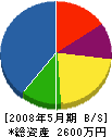 井伊電化 貸借対照表 2008年5月期