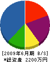 竹迫塗装 貸借対照表 2009年6月期