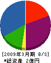 日吉工務店 貸借対照表 2009年3月期