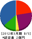丸八テント商会 貸借対照表 2012年3月期