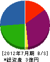 平成電設エンジニアリング 貸借対照表 2012年7月期