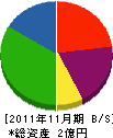 川健土木 貸借対照表 2011年11月期