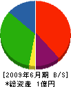 山静商会 貸借対照表 2009年6月期