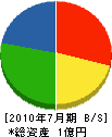 西ヶ崎清水建設 貸借対照表 2010年7月期