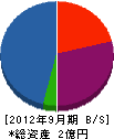 山崎興業 貸借対照表 2012年9月期