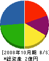 上肥 貸借対照表 2008年10月期
