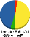 辻コーポレーション 貸借対照表 2012年7月期