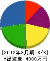 岳南塗装デザイン 貸借対照表 2012年9月期