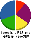 若月工務店 貸借対照表 2009年10月期