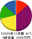松井組 貸借対照表 2009年12月期