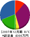 京増水道工事店 貸借対照表 2007年12月期