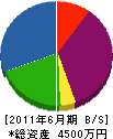 永井建設 貸借対照表 2011年6月期