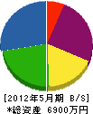 宇田川商店 貸借対照表 2012年5月期